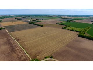 Property photo 2 - LAND AUCTION - 492+/- ACRES OFFERED IN 7 TRACTS IN SULLIVAN & KNOX COUNTIES, INDIANA